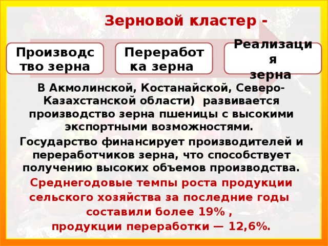 Зерновой кластер -    В Акмолинской, Костанайской, Северо-Казахстанской области) развива­ется производство зерна пшеницы с высокими экспортными возможностями. Государство финансирует производителей и переработчиков зерна, что способствует получению высоких объемов производства. Среднегодовые темпы роста продукции сельского хозяйства за последние годы составили более 19% , продукции пере­работки — 12,6%. Производство зерна Переработка зерна  Реализация зерна 