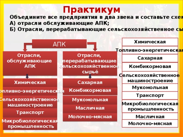 Практикум Объедините все предприятия в два звена и составьте схему: А) отрасли обслуживающие АПК; Б) Отрасли, перерабатывающие сельскохозяйственное сырьё Химическая АПК Топливно-энергетическая Отрасли, Отрасли, перерабатывающие обслуживающие сельскохозяйственное АПК сырьё Сахарная Комбикормовая Сельскохозяйственное машиностроение Сахарная Химическая  Мукомольная Комбикормовая  Топливно-энергетическая  Транспорт Мукомольная Сельскохозяйственное машиностроение  Микробиологическая  промышленность Масличная Транспорт Масличная Молочно-мясная Микробиологическая  промышленность  Молочно-мясная 