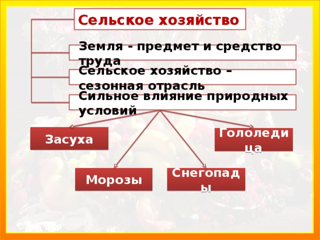 Сельское хозяйство Земля - предмет и средство труда  Сельское хозяйство – сезонная отрасль   Сильное влияние природных условий  Засуха Гололедица Морозы Снегопады 