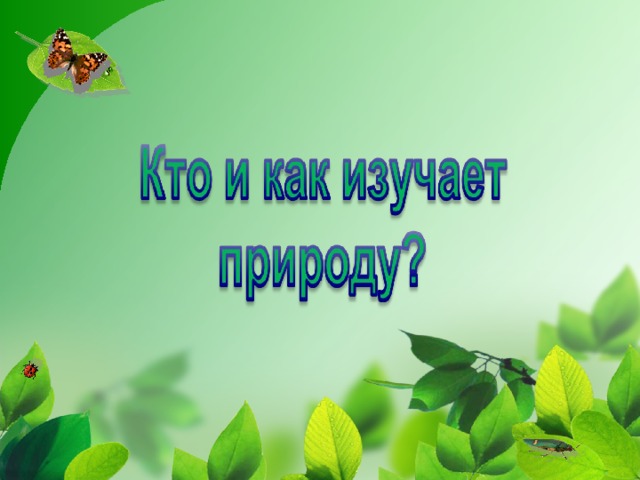 Какая природа изучает природу