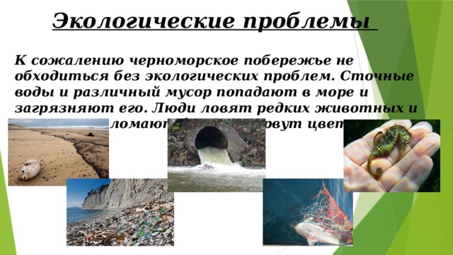 Черное море экологические проблемы