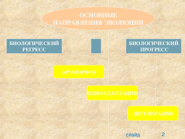 Презентация биологический прогресс и регресс 11 класс