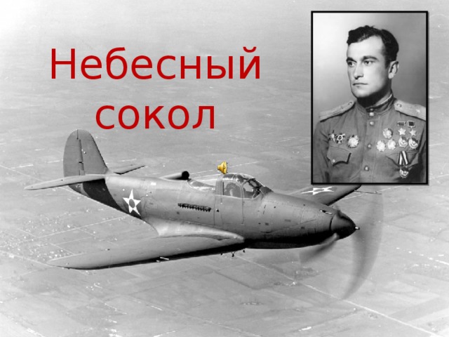 Небесный сокол 