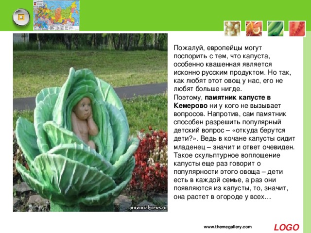 Пожалуй, европейцы могут поспорить с тем, что капуста, особенно квашенная является исконно русским продуктом. Но так, как любят этот овощ у нас, его не любят больше нигде. Поэтому,  памятник капусте в Кемерово  ни у кого не вызывает вопросов. Напротив, сам памятник способен разрешить популярный детский вопрос – «откуда берутся дети?». Ведь в кочане капусты сидит младенец – значит и ответ очевиден. Такое скульптурное воплощение капусты еще раз говорит о популярности этого овоща – дети есть в каждой семье, а раз они появляются из капусты, то, значит, она растет в огороде у всех… www.themegallery.com 
