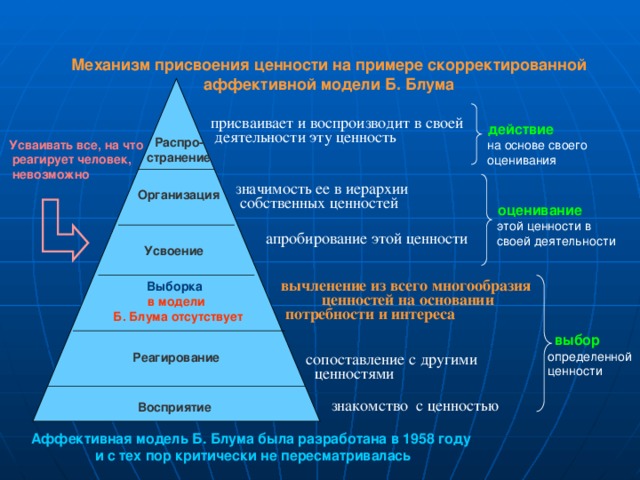  Механизм присвоения ценности на примере скорректированной аффективной модели Б. Блума   присваивает и воспроизводит в своей  деятельности эту ценность действие Распро- странение Усваивать все, на что  реагирует человек,  невозможно на основе своего оценивания Организация  значимость ее в иерархии  собственных ценностей оценивание этой ценности в своей деятельности апробирование этой ценности Усвоение Выборка в модели  Б. Блума отсутствует вычленение из всего многообразия ценностей на основании  потребности и интереса  выбор Реагирование определенной ценности сопоставление с другими  ценностями Восприятие  знакомство с ценностью Аффективная модель Б. Блума была разработана в 1958 году  и с тех пор критически не пересматривалась 