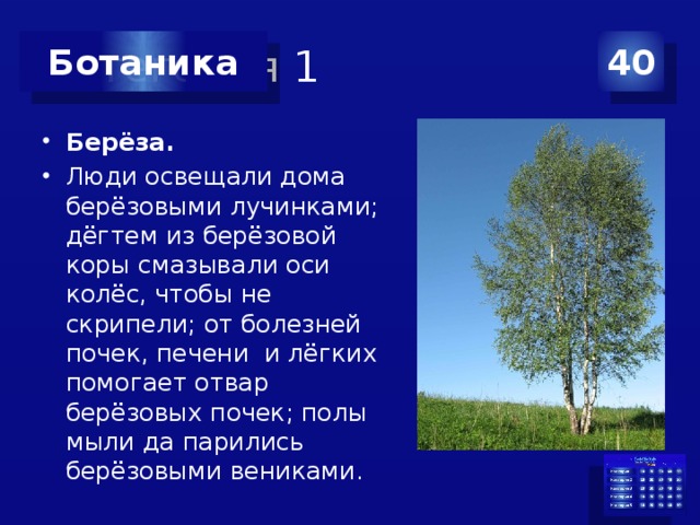 Категория 1 40 Ботаника Берёза. Люди освещали дома берёзовыми лучинками; дёгтем из берёзовой коры смазывали оси колёс, чтобы не скрипели; от болезней почек, печени и лёгких помогает отвар берёзовых почек; полы мыли да парились берёзовыми вениками. 