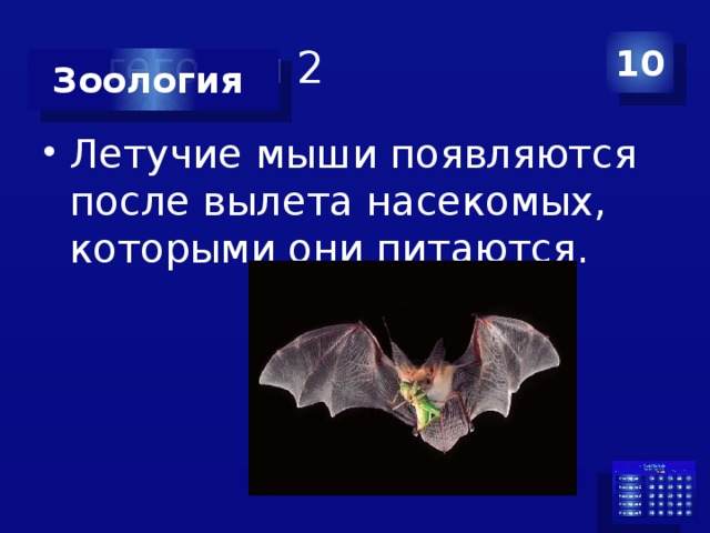 Категория 2 10 Зоология Летучие мыши появляются после вылета насекомых, которыми они питаются. 