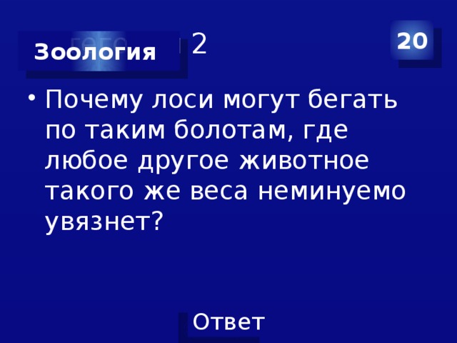 Категория 2 20 Зоология Почему лоси могут бегать по таким болотам, где любое другое животное такого же веса неминуемо увязнет? 