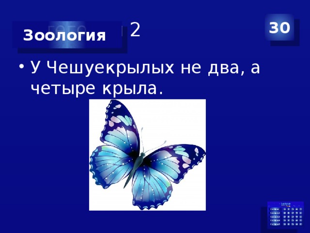 Категория 2 30 Зоология У Чешуекрылых не два, а четыре крыла. 