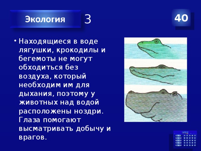 Что общего в организации животных изображенных на рисунке медведь птица лягушка крокодил