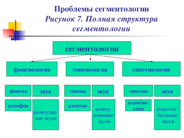 Проблемы сегментологии  Рисунок 7. Полная структура сегментологии сегментология фонемология сингемология тонемология звук сингема тонема звук звук фонема аллофон аллотон аллосин- гема разноудар- ные звуки разнотем- бральные  звуки разноу- ровневые  звуки 