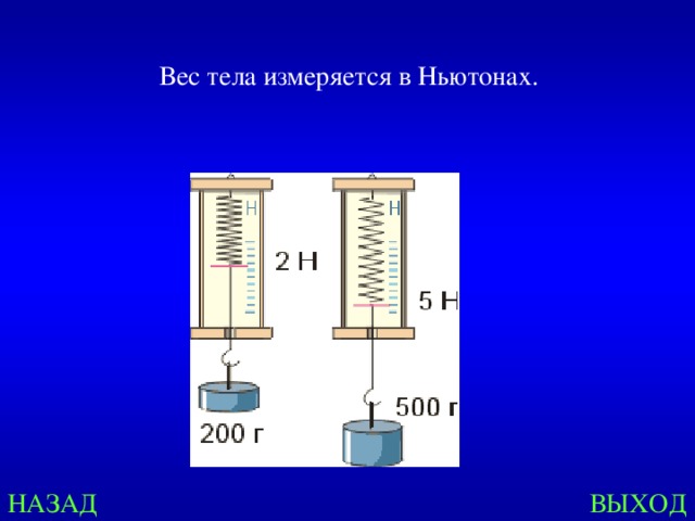 Вес тела измеряется в Ньютонах. НАЗАД ВЫХОД 