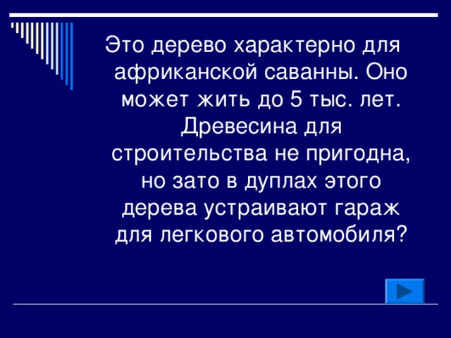 Это дерево характерно для африканской саванны. Оно может жить до 5 тыс. лет. Древесина для строительства не пригодна, но зато в дуплах этого дерева устраивают гараж для легкового автомобиля? 