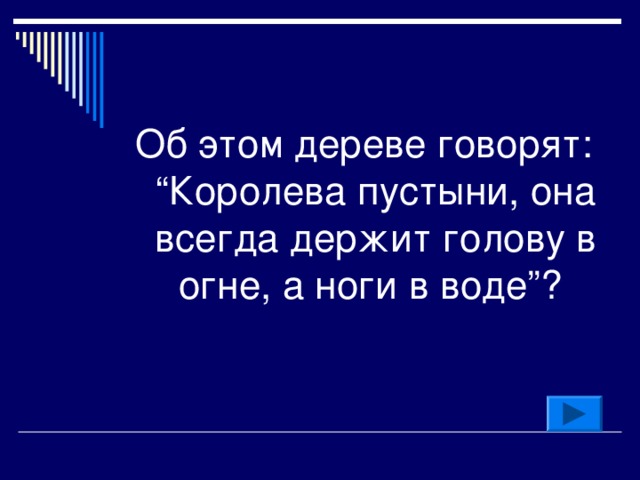 Об этом дереве говорят: “Королева пустыни, она всегда держит голову в огне, а ноги в воде”?  