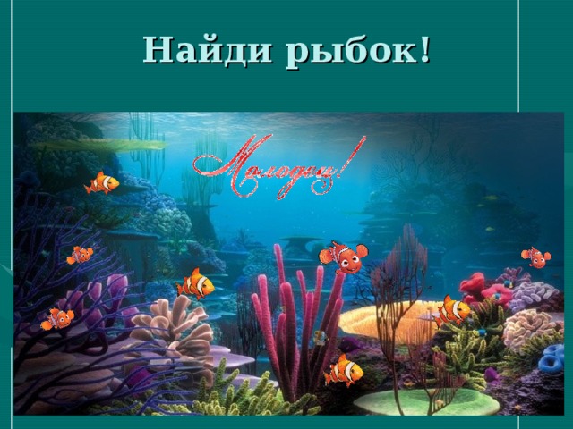 Найди рыбок! 