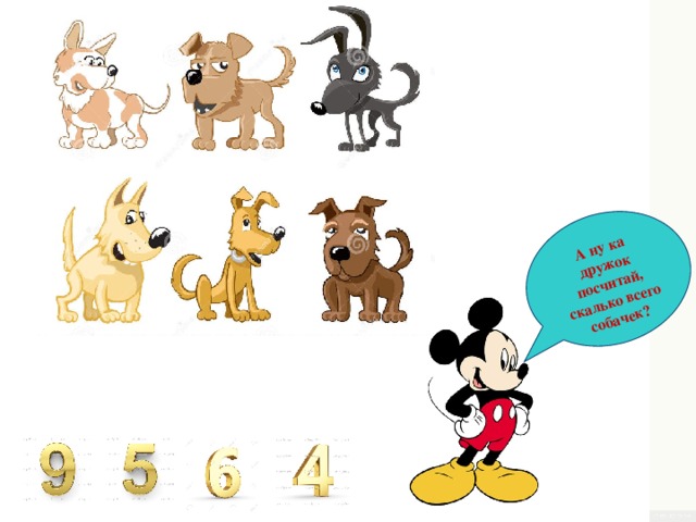 А ну ка дружок посчитай, скалько всего собачек? 