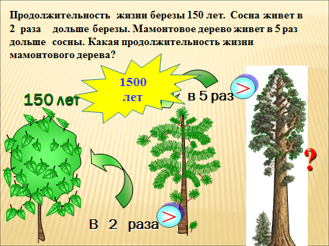 Продолжительность деревьев 1 класс