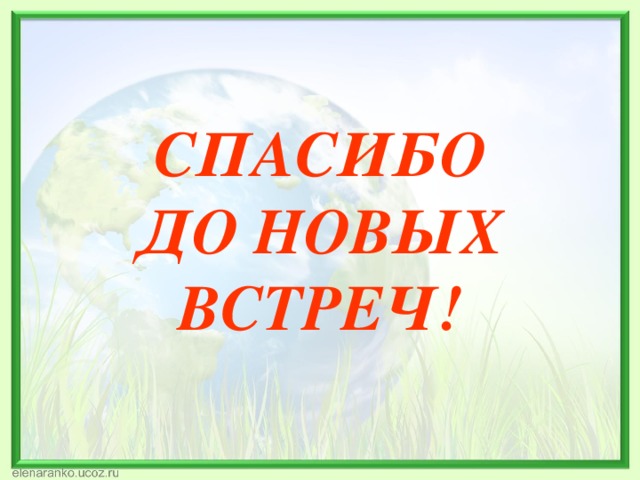 СПАСИБО ДО НОВЫХ ВСТРЕЧ! 