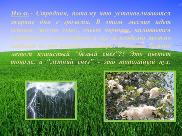 Июль  - Страдник, потому что устанавливаются жаркие дни с грозами. В этом месяце идет сенокос (косят сено), спеет черника, наливается клубника. А если сходить в лес за ягодами можно набрать целую корзину. Смотри! В парках лежит летом пушистый 