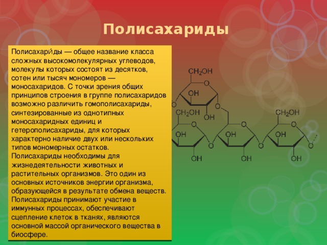 Полисахариды Полисахари́ды — общее название класса сложных высокомолекулярных углеводов, молекулы которых состоят из десятков, сотен или тысяч мономеров — моносахаридов. С точки зрения общих принципов строения в группе полисахаридов возможно различить гомополисахариды, синтезированные из однотипных моносахаридных единиц и гетерополисахариды, для которых характерно наличие двух или нескольких типов мономерных остатков. Полисахариды необходимы для жизнедеятельности животных и растительных организмов. Это один из основных источников энергии организма, образующейся в результате обмена веществ. Полисахариды принимают участие в иммунных процессах, обеспечивают сцепление клеток в тканях, являются основной массой органического вещества в биосфере. 