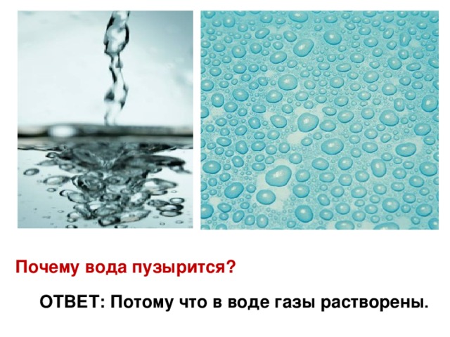 Почему вода пузырится? Ответ : Потому что в воде газы растворены . 