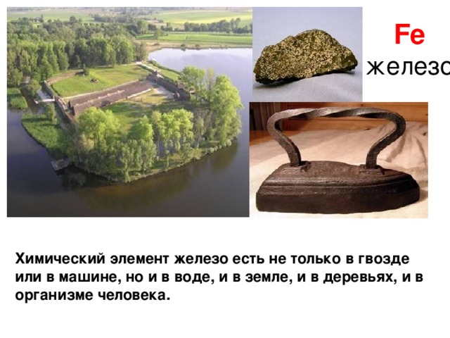Fe железо Химический элемент железо есть не только в гвозде или в машине, но и в воде, и в земле, и в деревьях, и в организме человека. 