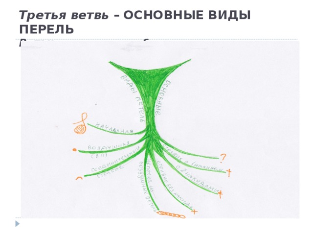 Третья ветвь – ОСНОВНЫЕ ВИДЫ ПЕРЕЛЬ  Ветви – названия и обозначения петель 