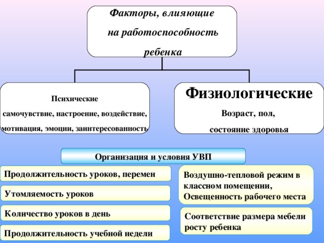 Соответствие мебели росту детей в школе