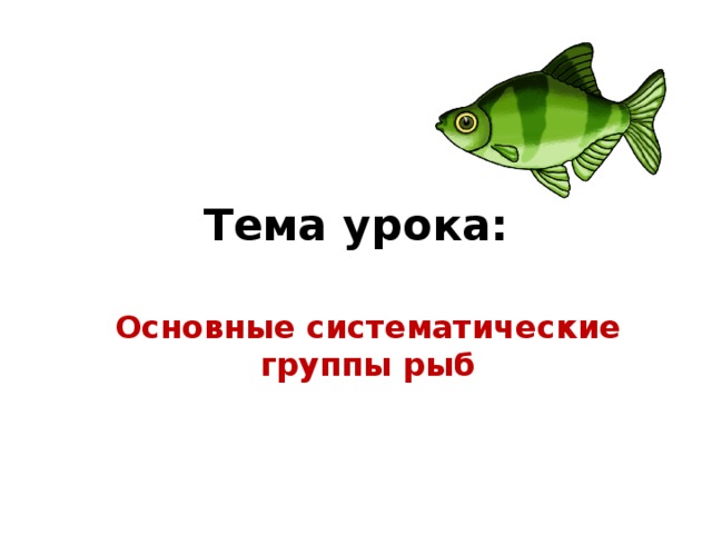 Тема урока: Основные систематические группы рыб 