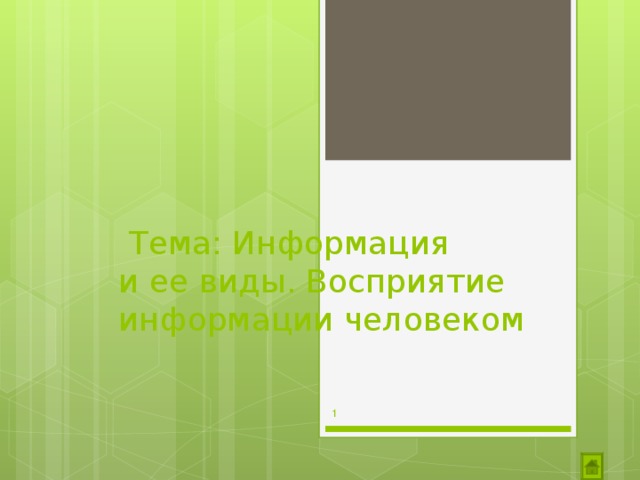  Тема: Информация  и ее виды. Восприятие информации человеком  