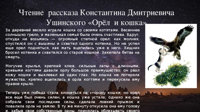 Чтение рассказа Константина Дмитриевича Ушинского «Орёл и кошка» За деревней весело играла кошка со своими котятами. Весеннее солнышко грело, и маленькая семья была очень счастлива. Вдруг, откуда ни возьмись — огромный степной орел: как молния, спустился он с вышины и схватил одного котенка. Но не успел еще орел подняться, как мать вцепилась уже в него. Хищник бросил котенка и схватился со старой кошкой. Закипела битва на смерть.  Могучие крылья, крепкий клюв, сильные лапы с длинными, кривыми когтями давали орлу большое преимущество: он рвал кожу кошки и выклевал ей один глаз. Но кошка не потеряла мужества, крепко вцепилась в орла когтями и перекусила ему правое крыло.  Теперь уже победа стала клониться на сторону кошки; но орел все еще был очень силен, а кошка уже устала; однако же она собрала свои последние силы, сделала ловкий прыжок и повалила орла на землю. В ту же минуту откусила она ему голову и, забыв свои собственные раны, принялась облизывать своего израненного котенка. 