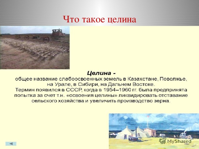 Целинных земель относится. Освоение целины это в истории. Целина. Что такое целинные земли в истории.