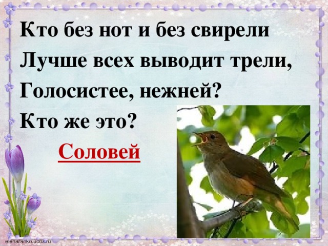 Кто без нот и без свирели Лучше всех выводит трели, Голосистее, нежней? Кто же это?  Соловей  