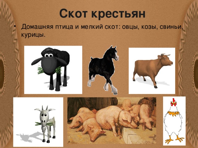Скот крестьян Домашняя птица и мелкий скот: овцы, козы, свиньи, курицы. 