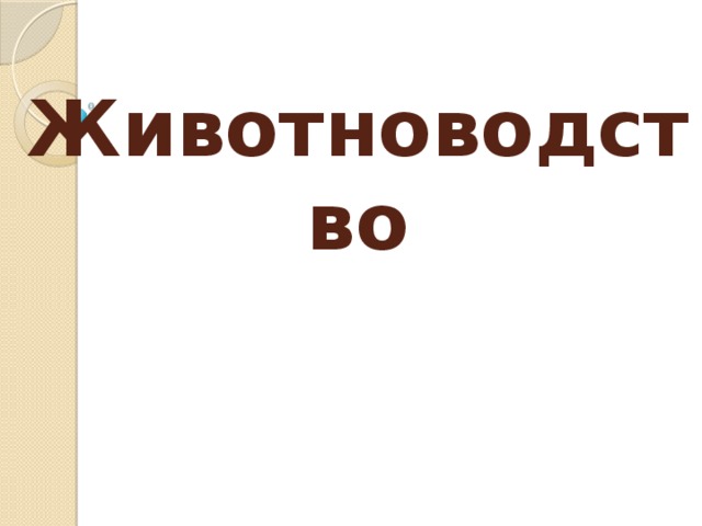 Животноводство 