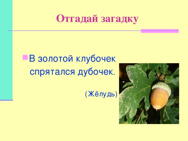 Загадки собери слово. В золотой клубочек спрятался дубочек. Загадка золотой клубочек спрятался.