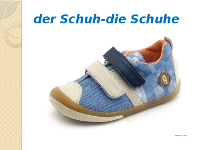 der Schuh-die Schuhe 