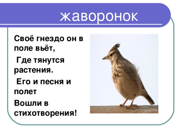 В а жуковский жаворонок а с пушкин птичка презентация 2 класс