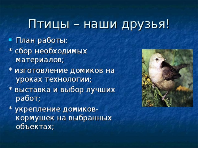 Презентация проекта птицы: найдено 89 картинок