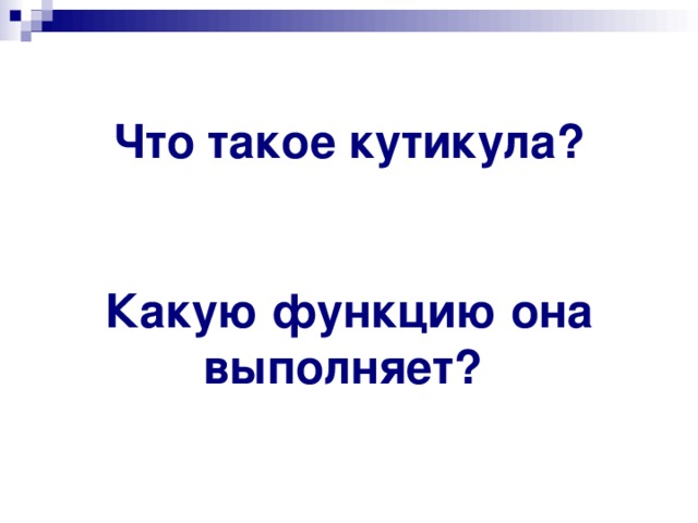 Что такое кутикула?  Какую функцию она выполняет? 