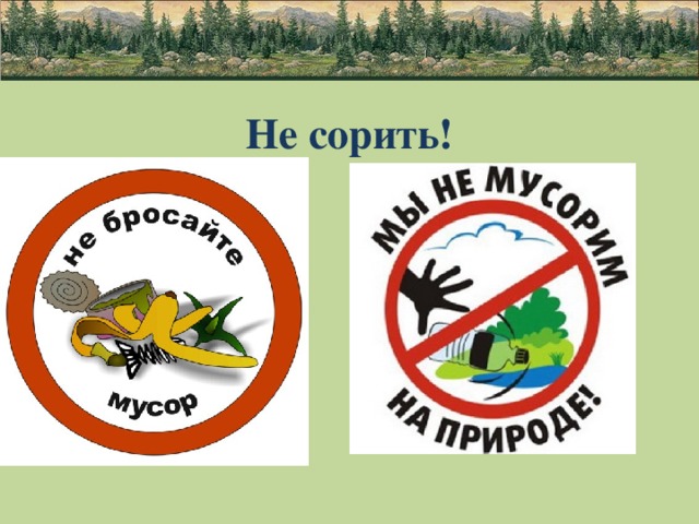 Не мусорить в лесу картинки