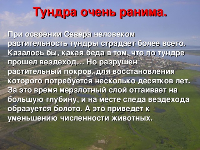Описание природной зоны евразии по плану тундра