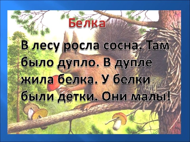 В лесу росла сосна. В лесу росла сосна там было дупло в дупле жили белки. Белка в лесу росла сосна. В старой сосне дупло. В дупле живёт белка..