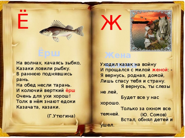 Ё Ж Ёрш Жена казака На волнах, качаясь зыбко, Казаки ловили рыбку. В раннюю поднявшись рань. На обед несли тарань. И колючий верткий ёрш Очень для ухи хорош! Толк в нём знают едоки Казачата, казаки. Уходил казак на войну   И прощался с милой женой : -   Я вернусь, родная, домой,   Лишь спасу тебя и страну.                 Я вернусь, ты слезы не лей,                 Будет все у нас хорошо.   Только за окном все темней.                Встал, обнял детей и ушел.                   (Ю. Сомов) (Г.Утюгина) 