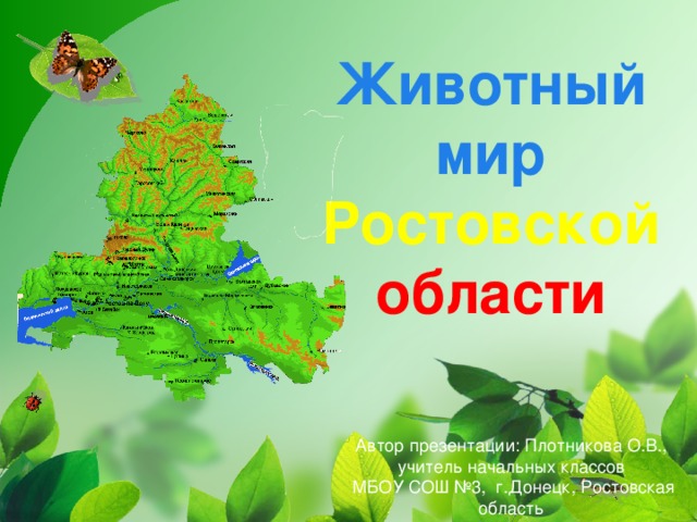 Животный мир  Ростовской  области Автор презентации: Плотникова О.В., учитель начальных классов  МБОУ СОШ №3, г.Донецк, Ростовская область 