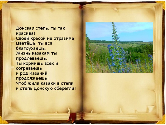 Донская степь, ты так красива!  Своей красой не отразима.  Цветёшь, ты вся благоухаешь,  Жизнь казакам ты продлеваешь.   Ты кормишь всех и согреваешь  и род Казачий продолжаешь!   Чтоб жили казаки в степи  и степь Донскую сберегли! 