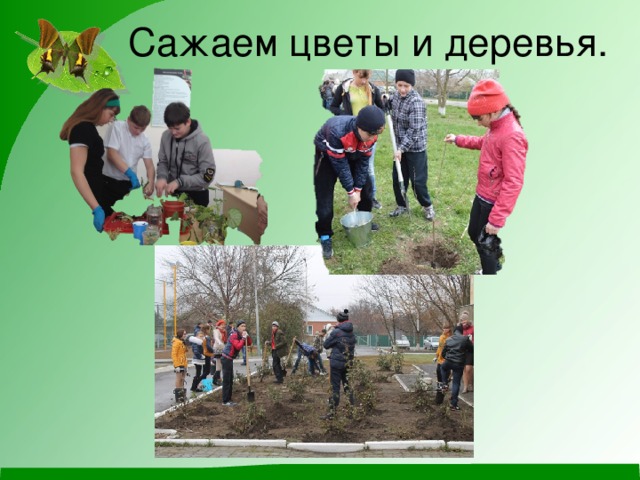 Сажаем цветы и деревья. 