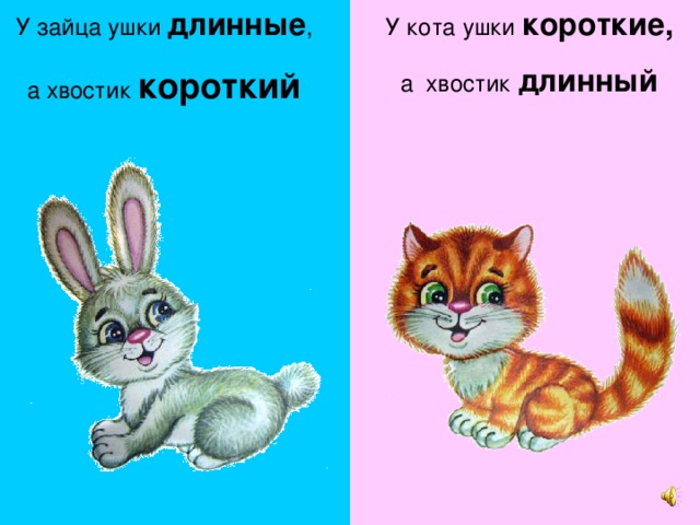 У зайца ушки длинные , а хвостик короткий У кота ушки короткие, а хвостик длинный 