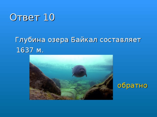 Глубина озера 10 метров. Глубина озера Байкал. Озеро Байкал глубина озера. Глубина озера Байкал максимальная. Глубина оз Байкал.