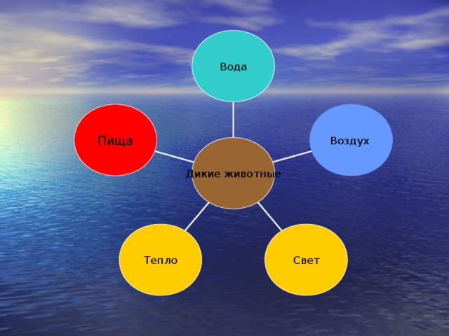 Свет воздух вода. Пища, тепло, свет, воздух, вода. Воздух вода пища. Свет вода воздух. Вода воздух тепло.